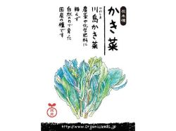 川島かき菜パッケージ
