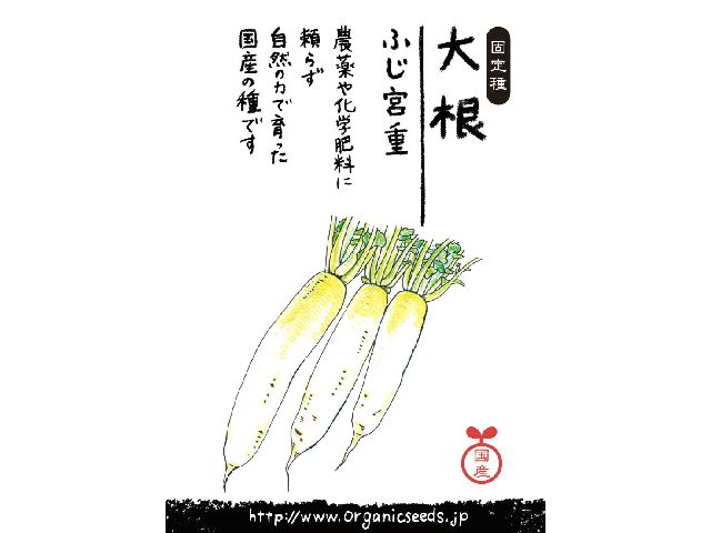 大根ふじ宮重パッケージ