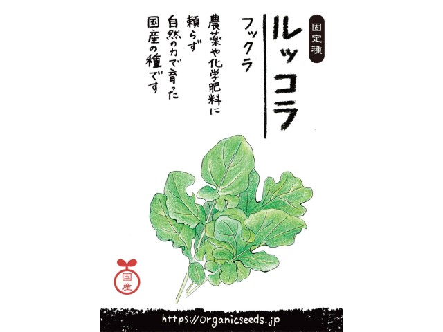 国産/自然農法種子ルッコラ フックラ＜1ml・約400粒＞