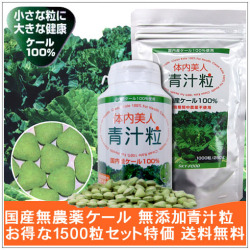 無農薬ケール特価お得な送料無料