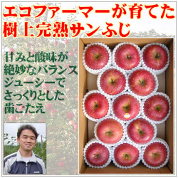 エコファーマーの林檎