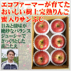 減農薬減化学肥料りんご