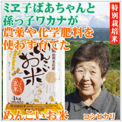 無農薬コシヒカリ美味しい玄米