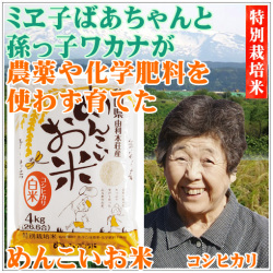 無農薬コシヒカリ美味しい白米