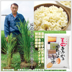 おいしい無農薬 つや姫 玄米