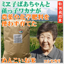 美味しい無農薬コシヒカリ