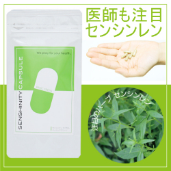 センシンレン