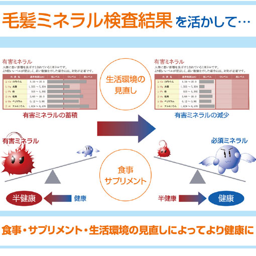 ミネラル検査キット 12万件以上の実績健康レポート 送料無料