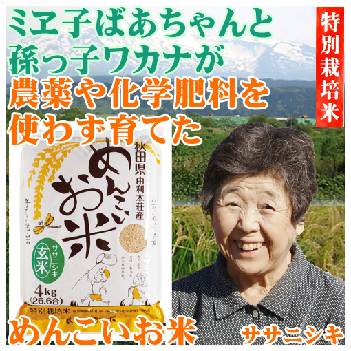 産地直送無農薬玄米ササニシキ 送料無料 kg特価販売