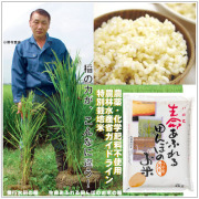 おいしい無農薬 つや姫 玄米