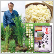 自然食品 おいしい安全なお米の販売