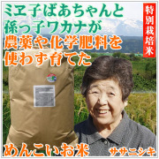 無農薬ササニシキオーガニック