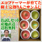 減農薬ラ・フランス りんご産地直送送料無料お試しセット