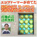 エコファーマーの減農薬ラ・フランス