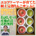 減農薬ラ・フランス りんご産地直送送料無料お試しセット
