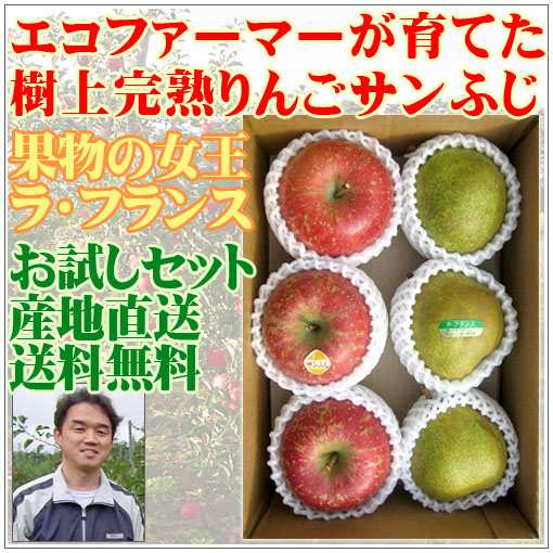 減農薬ラ・フランス りんご産地直送送料無料お試しセット