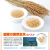 発芽玄米 パステシャン