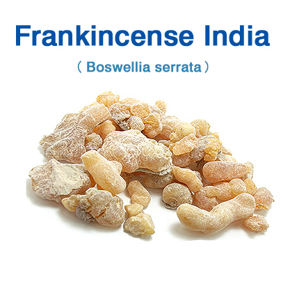 フランキンセンス・インド（Boswellia serrata）インド乳香 50g