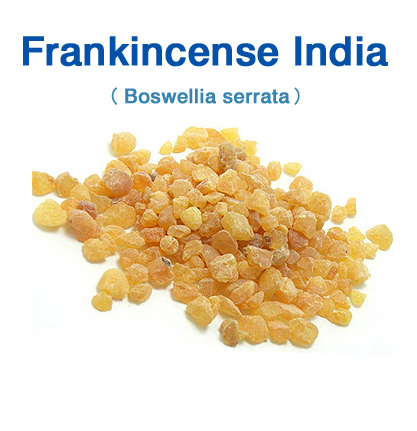 フランキンセンス・インド （Boswellia serrata）（小粒：黄）50g