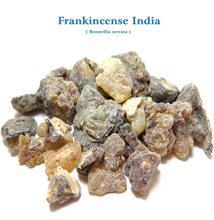 フランキンセンス・インド レジン インセンス樹脂　ダーク （Boswellia serrata） インド乳香 5kg