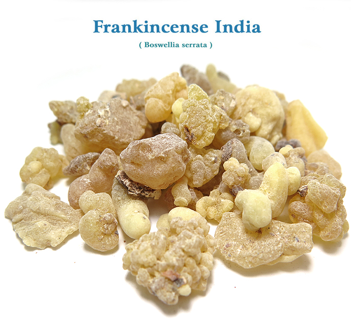 フランキンセンス・インド レジン インセンス樹脂　（Boswellia serrata） インド乳香 100g