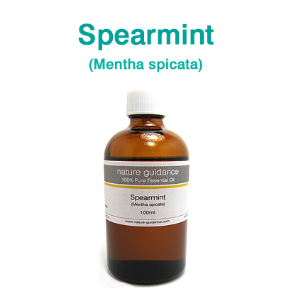 スペアミント（インド産 スペアーミント、緑薄荷・ミドリハッカ）/エッセンシャルオイル100ml