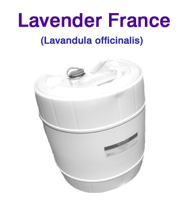 ラベンダー アロマオイル 精油（フランス産・真正ラベンダー・イングリッシュラベンダー、Lavandula officinalis）/25lbs（約11kg）【ポイント対象外商品】