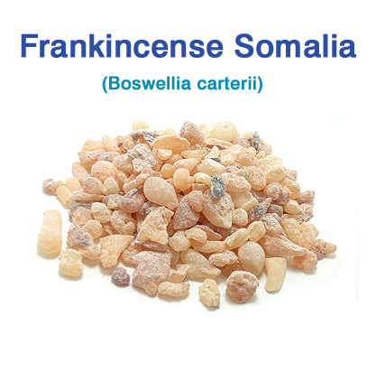 フランキンセンス・ソマリア(Boswellia carterii)（乳香）中粒 ライトブラウン 250g