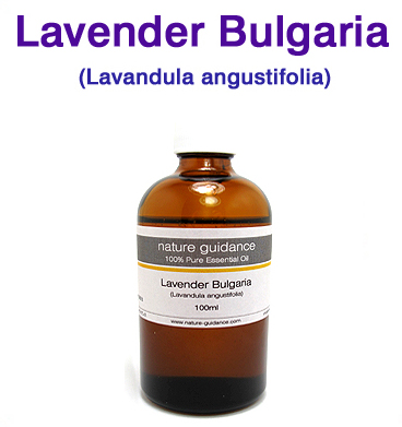 ラベンダー ブルガリア産 アロマオイル (Lavandula angustifolia) 精油 エッセンシャルオイル 100ml