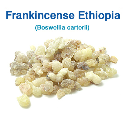 フランキンセンス・エチオピア(Boswellia carterii)（乳香） 250g