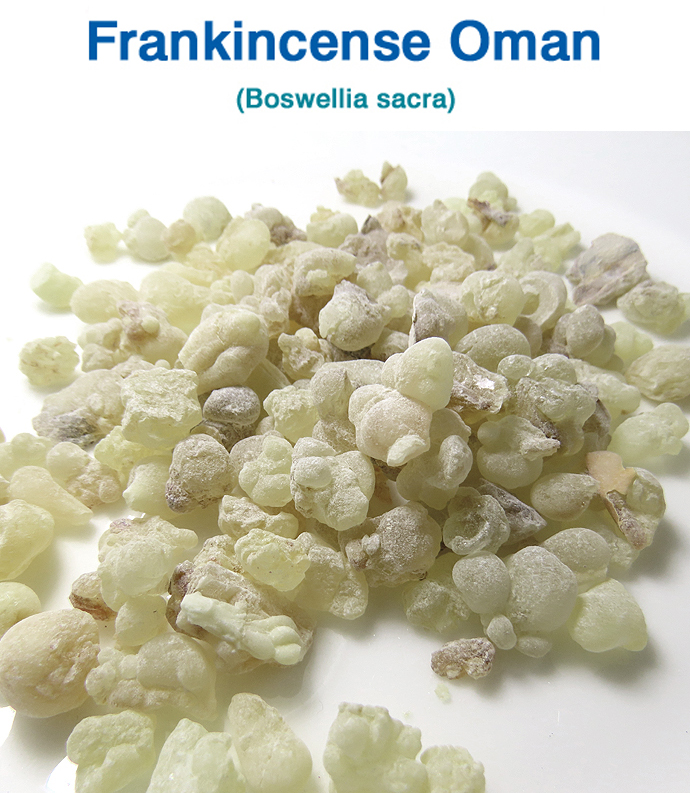 フランキンセンス・オマーン産 乳香（ファイン）Boswellia sacra 250g