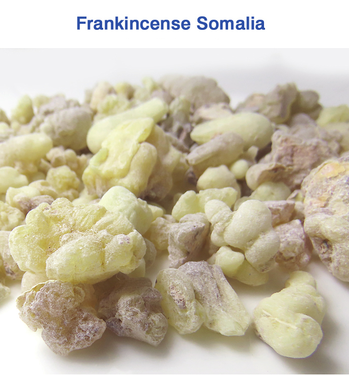 フランキンセンス・ソマリア(Boswellia carterii)（乳香）クリームイエローカラー 250g