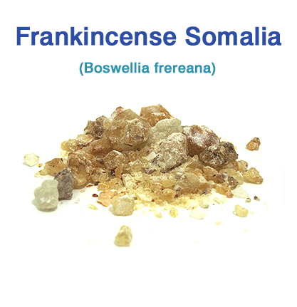 フランキンセンス・ソマリア（Boswellia frereana）（乳香） 30g