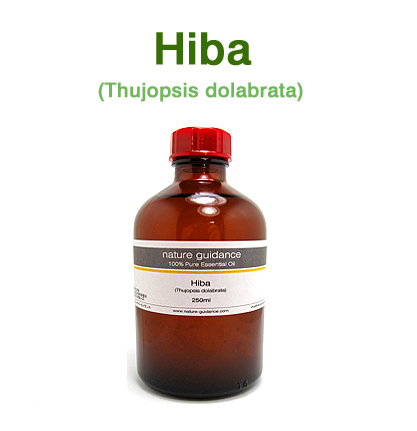 ヒバ・国産（青森県産 檜葉・桧葉・ひば、Thujopsis dolabrata）/精油250ml