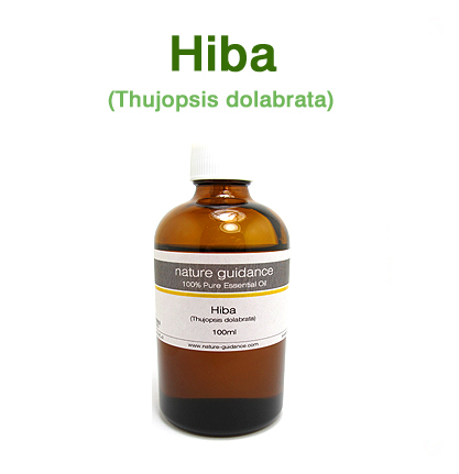 ヒバ・国産（青森県産 檜葉・桧葉・ひば、Thujopsis dolabrata）/精油100ml