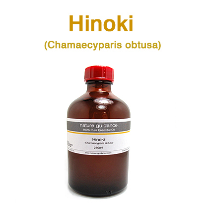 ヒノキ・国産（紀伊半島産 檜・桧・ひのき、Chamaecyparis obtusa）/精油250ml