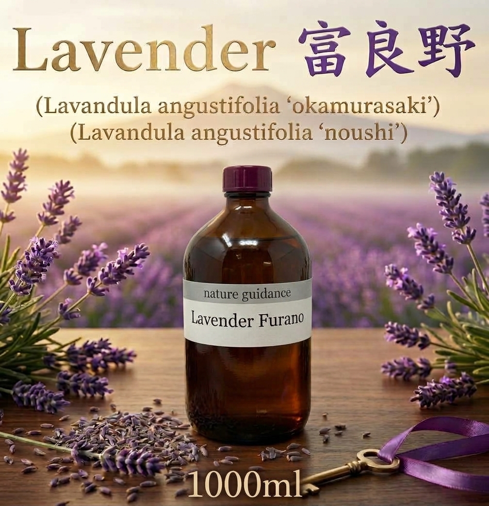 富良野ラベンダーアロマオイル（北海道上富良野産）エッセンシャルオイル（精油） 1000ml