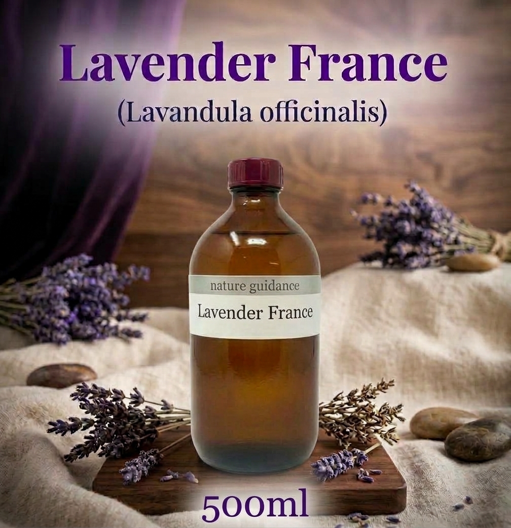 ラベンダー アロマオイル 精油（フランス産・真正ラベンダー・イングリッシュラベンダー、Lavandula officinalis）/500ml