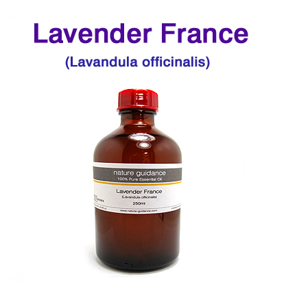 ラベンダー アロマオイル 精油（フランス産・真正ラベンダー・イングリッシュラベンダー、Lavandula officinalis）/250ml