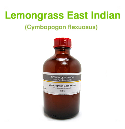 レモングラス・イーストインディアン（インド産・東インド種、Cymbopogon flexuosus）/250ml