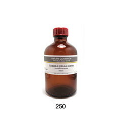 フランキンセンス・セラータ種（インド産 インド乳香・オリバナム、Boswellia serrata）/精油250ml