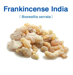 フランキンセンス・インド（Boswellia serrata）インド乳香 50g