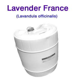 ラベンダー アロマオイル 精油（フランス産・真正ラベンダー・イングリッシュラベンダー、Lavandula officinalis）/25lbs（約11kg）【ポイント対象外商品】