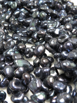 ケシパール ダークブルー~ブラック 淡水真珠 バロック 花びら（ホワイト系） 7～10mm×5～8mm×3～5mm（5連）