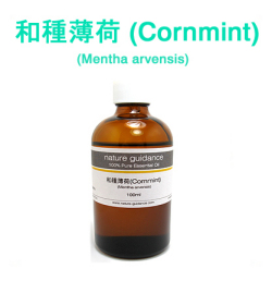 和種ハッカ （インド産 薄荷・はっか・コーンミント、Mentha arvensis)/精油100ml