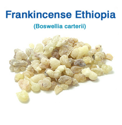 フランキンセンス・エチオピア(Boswellia carterii)（乳香） 250g