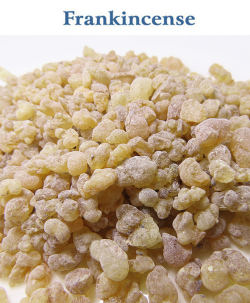 フランキンセンス 乳香・エチオピア産(Boswellia carterii)シャンパンカラー 1kg