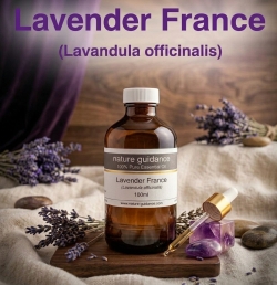 ラベンダー（フランス産 真正ラベンダー、イングリッシュラベンダー）/精油100ml