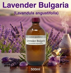 ラベンダー ブルガリア産 アロマオイル (Lavandula angustifolia) 精油 エッセンシャルオイル 500ml