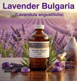 ラベンダー ブルガリア産 アロマオイル (Lavandula angustifolia) 精油 エッセンシャルオイル 100ml